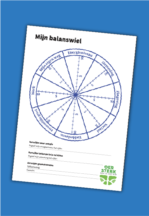 Balanswiel image