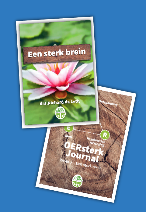 Brein + journal