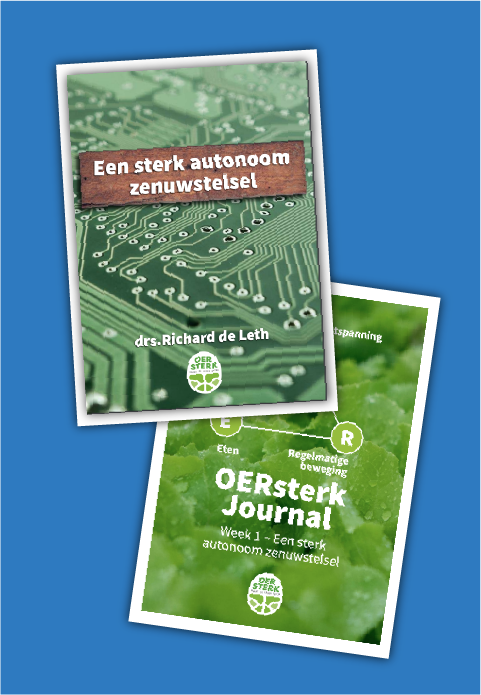 Zenuwstelsel + journal